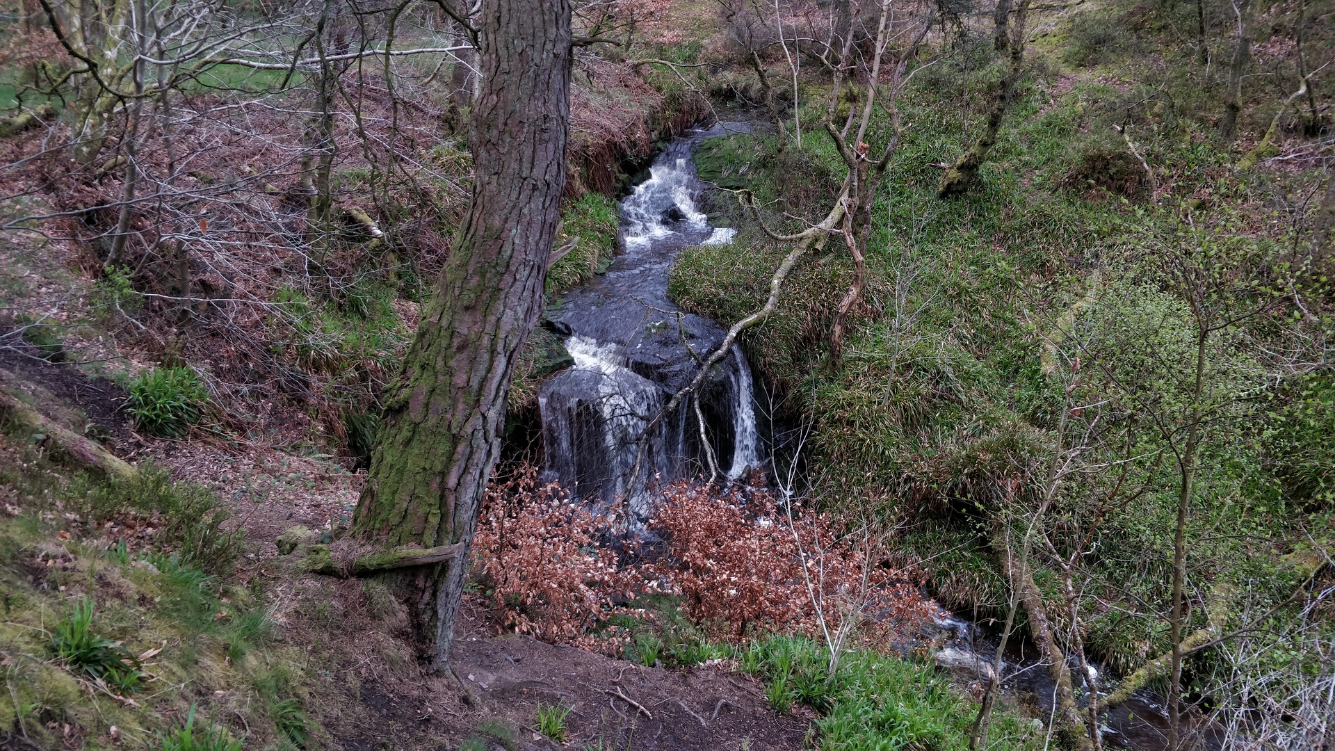 Image7
