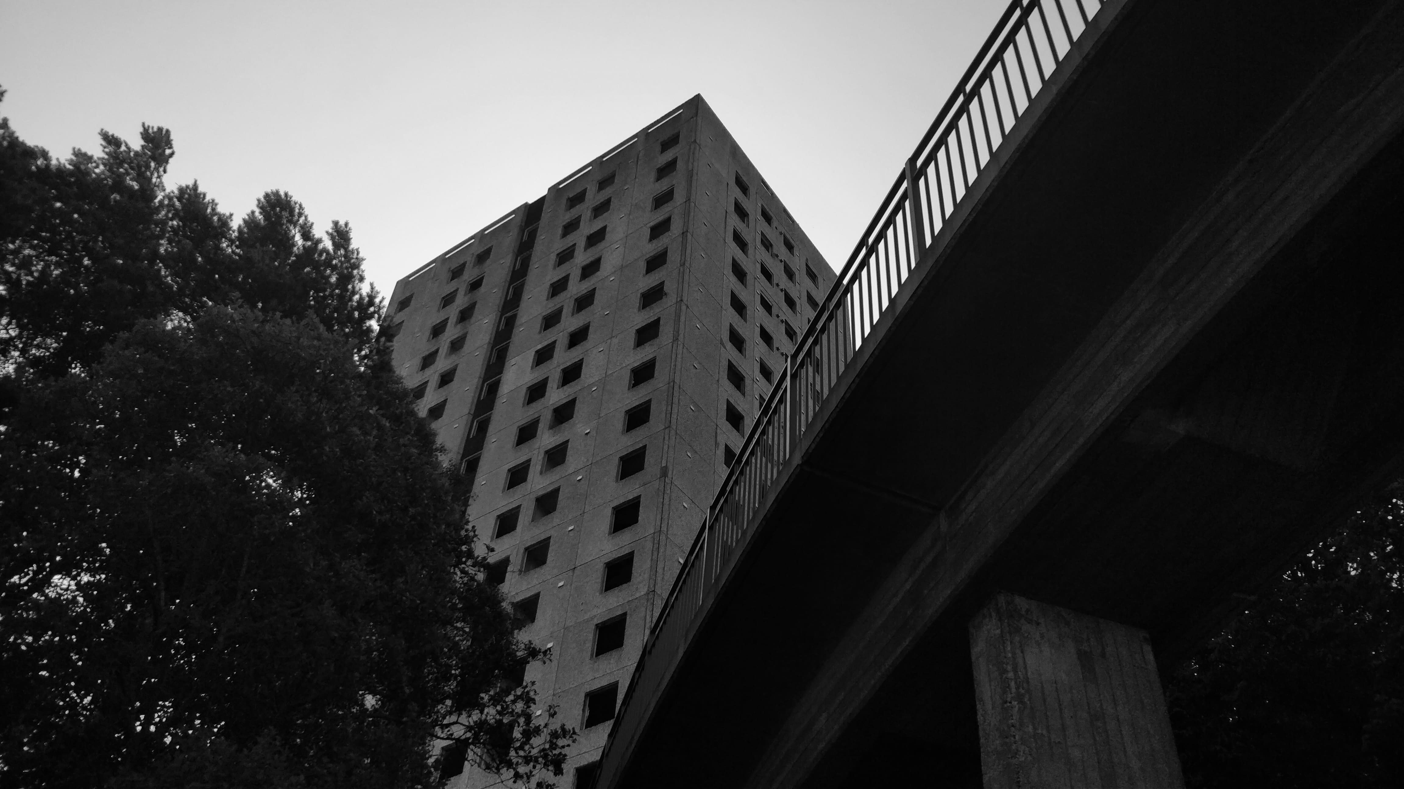 Full-size Image 3
