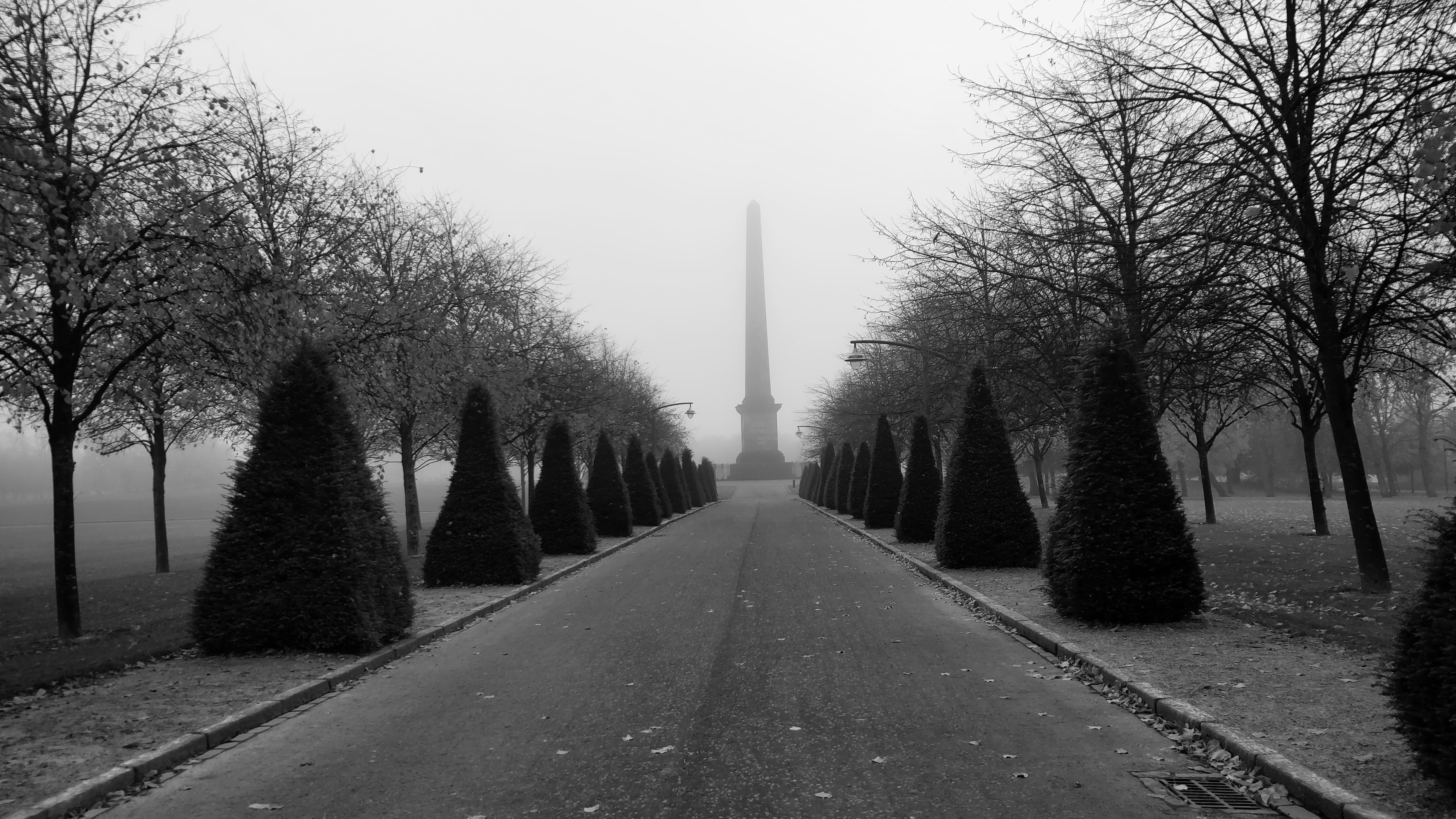 Full-size Image 9